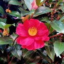 김원삼행정사사무실 이미지