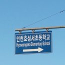 효성동 하나아파트 앞 이미지