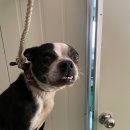 차성동로 이미지