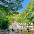 대구근교계곡 창녕계곡 카페 숲속애