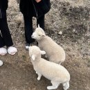 진웅점보빌라 앞 | 2박3일 제주여행, 제주신화월드호텔 신화관 숙박 후기 (워터파크, 인피니티풀, 중식뷔페, 테마파크 빅 3)