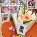 수원-0499 이미지