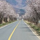 구룡천1 이미지