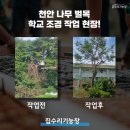 공공벌목 | 천안 나무 벌목 학교 조경 작업 전문 업체의 7월!