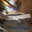 제주 아이와 가볼만한곳 수목원길야시장 이미지