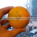 주원약품 이미지