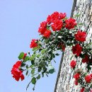 하나정비공장 이미지