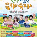 환경체육단지 축구장 | 창녕낙동강유채축제 일정 및 2026년 초대가수와 포토존 어디?