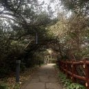 제주 남원큰엉 애견동반 후기