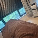 케이스킨앤바디
