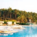 설해원(양양국제공항) 이미지