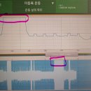 식물 연구. 데이터값 이미지