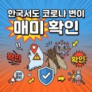 선바이오연구소(주) | 한국서도 코로나 변이 '매미' 확인...상한가 치는 바이오주들