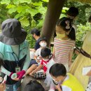 숲또래 협동조합 이미지