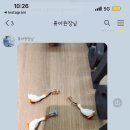 술취한오리 이미지
