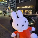 탑인형뽑기 이미지