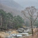 부귀농협슈퍼 이미지