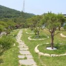 수목장 이미지
