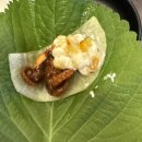 조례동 | [전남 순천] 쭉심 후기 | 조례동맛집 | 순천 쭈꾸미 맛집