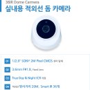 매머드익스프레스전남
