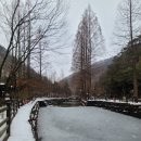 겨울 장태산자연휴양림과 커피인터뷰장태산 카페투어후기