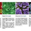 에스엠환경(주) 이미지