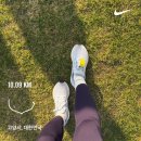 웅촌운동장 운동시설 | 2025 손기정평화마라톤 후기 - 여자 10K 기록, 역대급 병목현상?!, 고양종합운동장 집앞에서 달리기