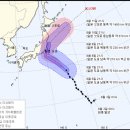 샨샨 이미지