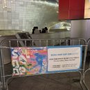 카카오 프렌즈 동대문 | 2025 서울 라이트 DDP | 작년보다 힙해지고 신나진 라이트 후기