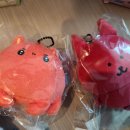 치이카와 마스코트/나가노마켓 수족관 배송대행&amp;구매대행 (사루와 후기)