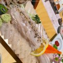 방어진참가자미 이미지