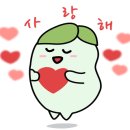 춘천소양강김치 이미지
