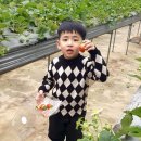 은비치농장 뉴시스