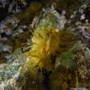 남해-294 이미지