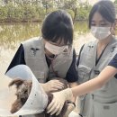 대진동물약품(주) 이미지