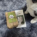 리커스 | [잇츠냠냠] 안 먹으면 100% 환불 영양제 🐾 공복토·잦은 설사 때문에 시작한 오아가 뮤커스케어 솔직 후기