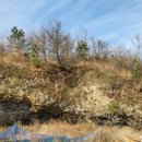 칠포1리 이미지