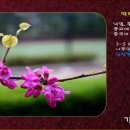천상운집 이미지