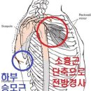 에스짐 신정네거리역점 이미지
