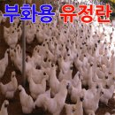 늘푸른청계농원 이미지