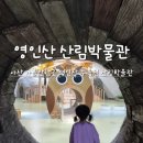 충청남도 산림박물관 | 아산 아이와 가볼만한곳 영인산 수목원 산림박물관 체험여행
