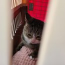 비나인동물병원 이미지