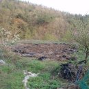 천등농장 이미지