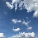 항구목장 | 1시간 반이면 바다다 대부도 엔틸로프 카페 + 궁평항 주말 드라이브 데이트 후기