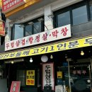 일동막창 이미지