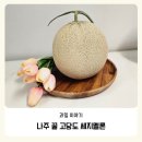 올여름 과일 끝판왕 나주 세지멜론 직접 먹어봤어요