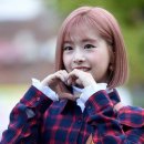 채원