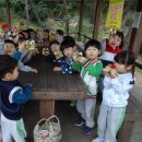 새한신유치원 이미지