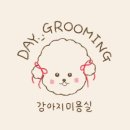 그루밍 애견미용 이미지