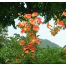 길목식당민박 이미지